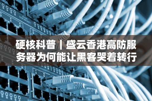 硬核科普｜盛云香港高防服务器为何能让黑客哭着转行？游戏公司老板都偷偷收藏了！