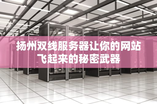 扬州双线服务器让你的网站飞起来的秘密武器