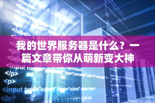 我的世界服务器是什么？一篇文章带你从萌新变大神