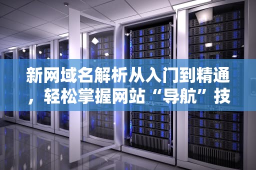 新网域名解析从入门到精通，轻松掌握网站“导航”技巧