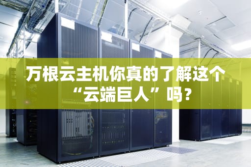 万根云主机你真的了解这个“云端巨人”吗？