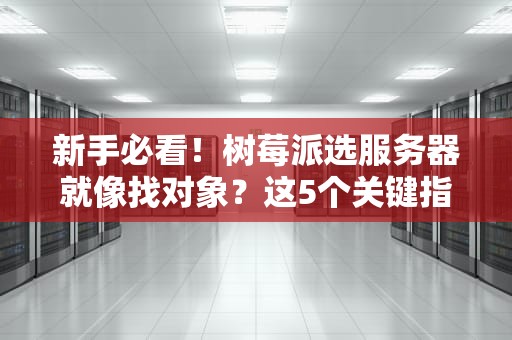 新手必看！树莓派选服务器就像找对象？这5个关键指标决定你的婚后幸福