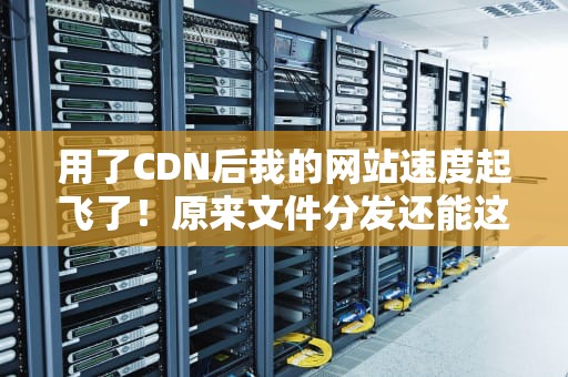 用了CDN后我的网站速度起飞了！原来文件分发还能这么玩？