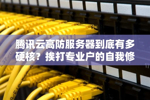 腾讯云高防服务器到底有多硬核？挨打专业户的自我修养