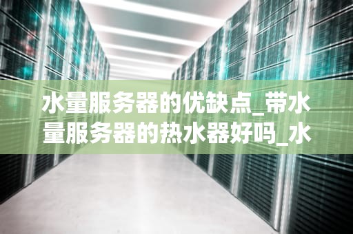 水量服务器的优缺点_带水量服务器的热水器好吗_水量服务器的优缺点