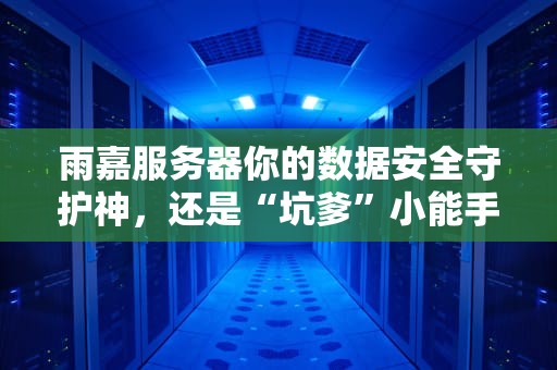 雨嘉服务器你的数据安全守护神，还是“坑爹”小能手？