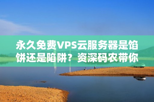 永久免费VPS云服务器是馅饼还是陷阱？资深码农带你扒开技术底裤