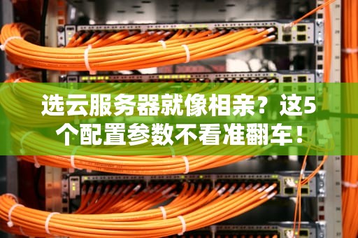 选云服务器就像相亲？这5个配置参数不看准翻车！