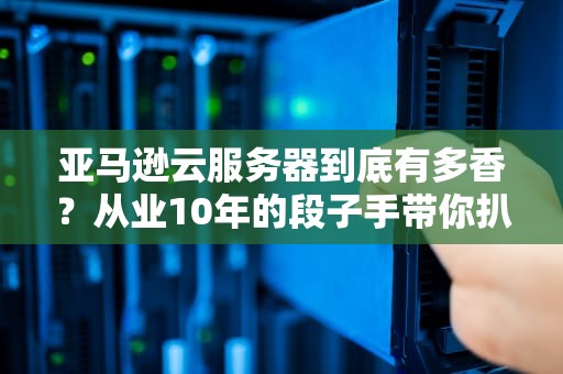 亚马逊云服务器到底有多香？从业10年的段子手带你扒光它的底裤