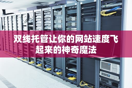 双线托管让你的网站速度飞起来的神奇魔法