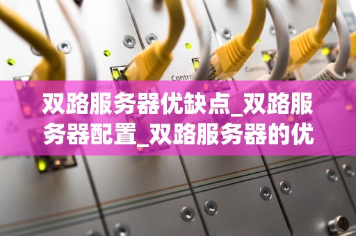 双路服务器优缺点_双路服务器配置_双路服务器的优缺点分析