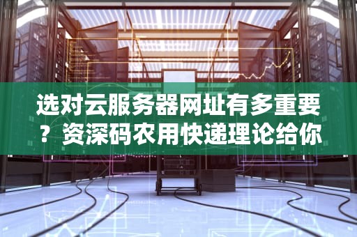 选对云服务器网址有多重要？资深码农用快递理论给你讲透！