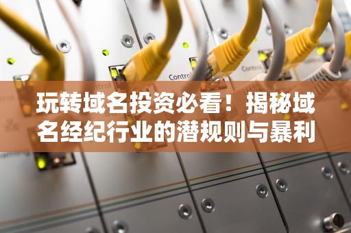 玩转域名投资必看！揭秘域名经纪行业的潜规则与暴利真相