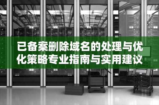 已备案删除域名的处理与优化策略专业指南与实用建议