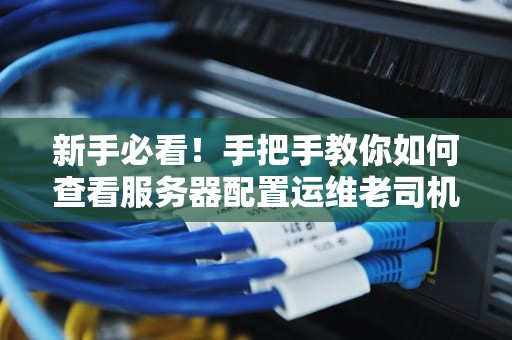 新手必看！手把手教你如何查看服务器配置运维老司机都点赞的5种姿势