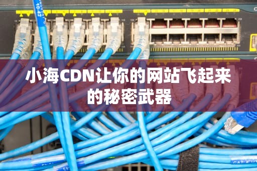 小海CDN让你的网站飞起来的秘密武器