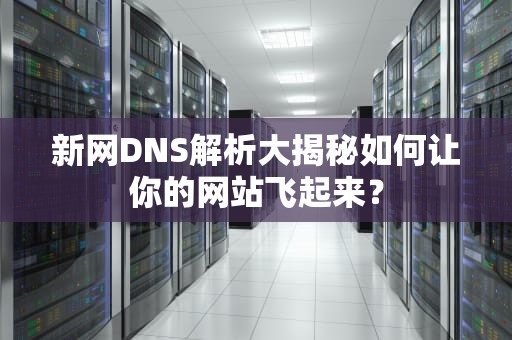 新网DNS解析大揭秘如何让你的网站飞起来？