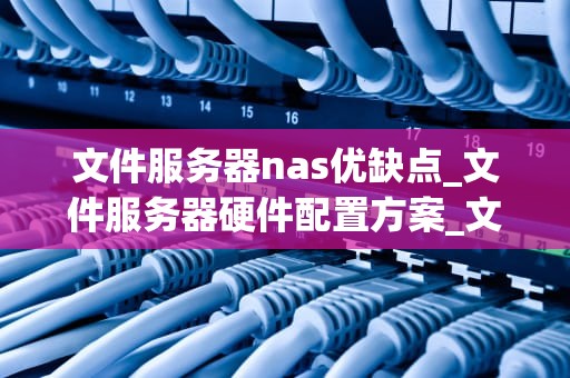 文件服务器nas优缺点_文件服务器硬件配置方案_文件服务器NAS的优缺点分析