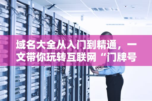 域名大全从入门到精通，一文带你玩转互联网“门牌号”