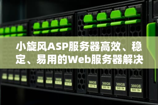 小旋风ASP服务器高效、稳定、易用的Web服务器解决方案