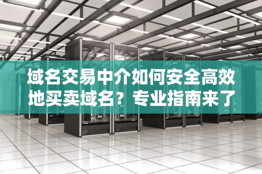 域名交易中介如何安全高效地买卖域名？专业指南来了！