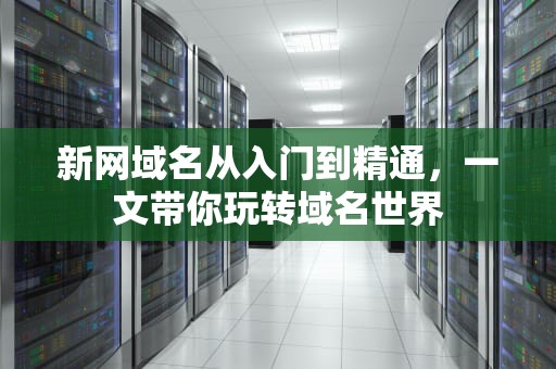 新网域名从入门到精通，一文带你玩转域名世界