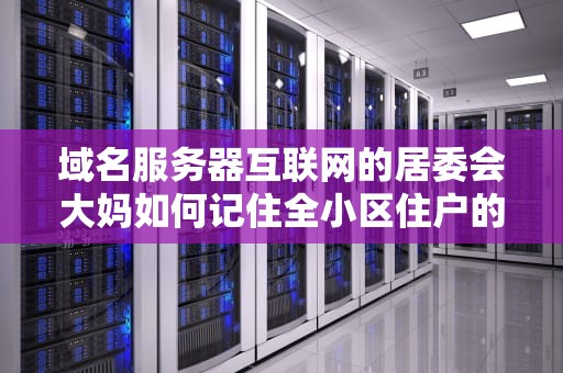 域名服务器互联网的居委会大妈如何记住全小区住户的门牌号？
