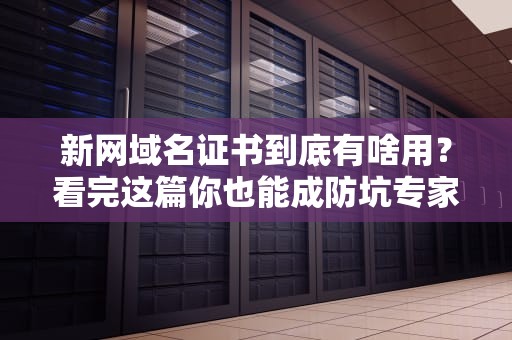 新网域名证书到底有啥用？看完这篇你也能成防坑专家！