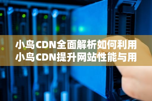 小鸟CDN全面解析如何利用小鸟CDN提升网站性能与用户体验