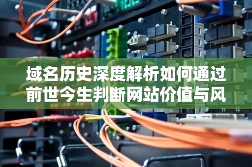 域名历史深度解析如何通过前世今生判断网站价值与风险？