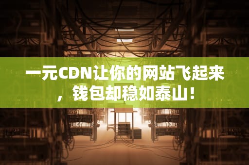 一元CDN让你的网站飞起来，钱包却稳如泰山！