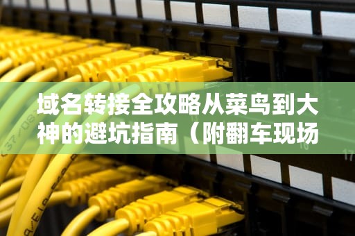 域名转接全攻略从菜鸟到大神的避坑指南（附翻车现场直播）