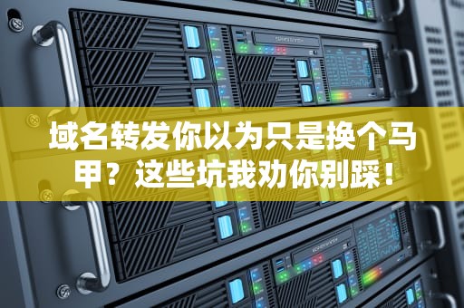 域名转发你以为只是换个马甲？这些坑我劝你别踩！