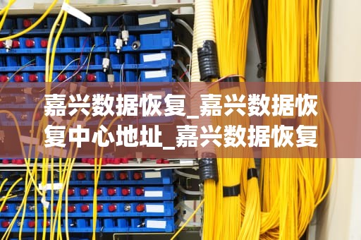 嘉兴数据恢复_嘉兴数据恢复中心地址_嘉兴数据恢复：技术、服务与未来