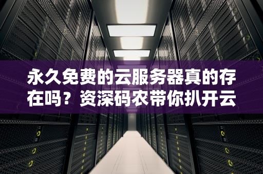 永久免费的云服务器真的存在吗？资深码农带你扒开云雾见真相