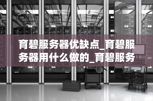 育碧服务器优缺点_育碧服务器用什么做的_育碧服务器优缺点分析