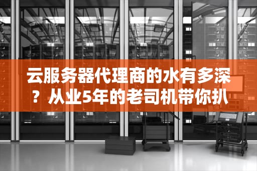 云服务器代理商的水有多深？从业5年的老司机带你扒一扒行业底裤