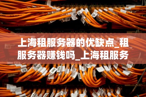 上海租服务器的优缺点_租服务器赚钱吗_上海租服务器的优缺点分析