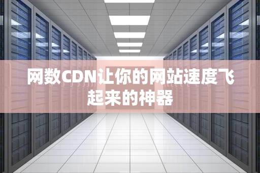 网数CDN让你的网站速度飞起来的神器