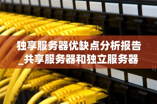 独享服务器优缺点分析报告_共享服务器和独立服务器有什么区别_独享服务器优缺点分析报告