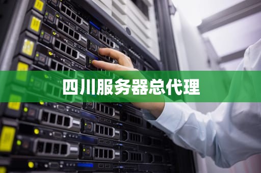 四川服务器总代理