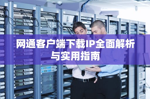 网通客户端下载IP全面解析与实用指南