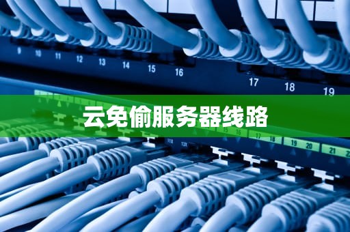 云免偷服务器线路
