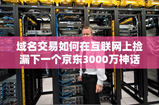 域名交易如何在互联网上捡漏下一个京东3000万神话？