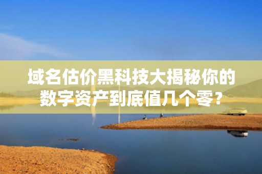 域名估价黑科技大揭秘你的数字资产到底值几个零？