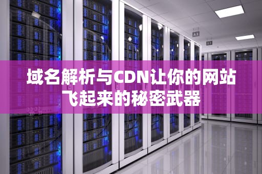 域名解析与CDN让你的网站飞起来的秘密武器