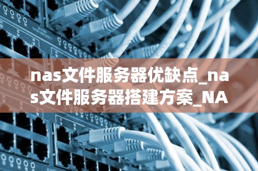nas文件服务器优缺点_nas文件服务器搭建方案_NAS文件服务器的优缺点分析