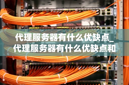 代理服务器有什么优缺点_代理服务器有什么优缺点和缺点_代理服务器的优缺点