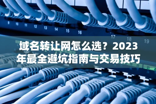 域名转让网怎么选？2023年最全避坑指南与交易技巧