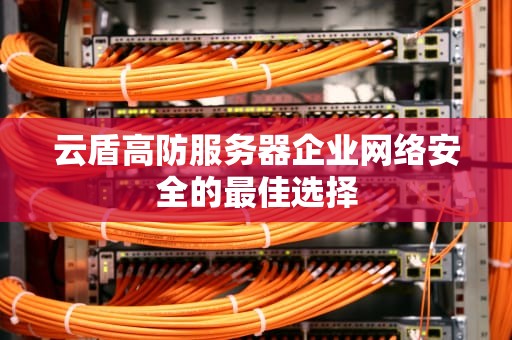 云盾高防服务器企业网络安全的最佳选择